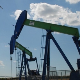 Цены на нефть остановились в районе 50 долларов